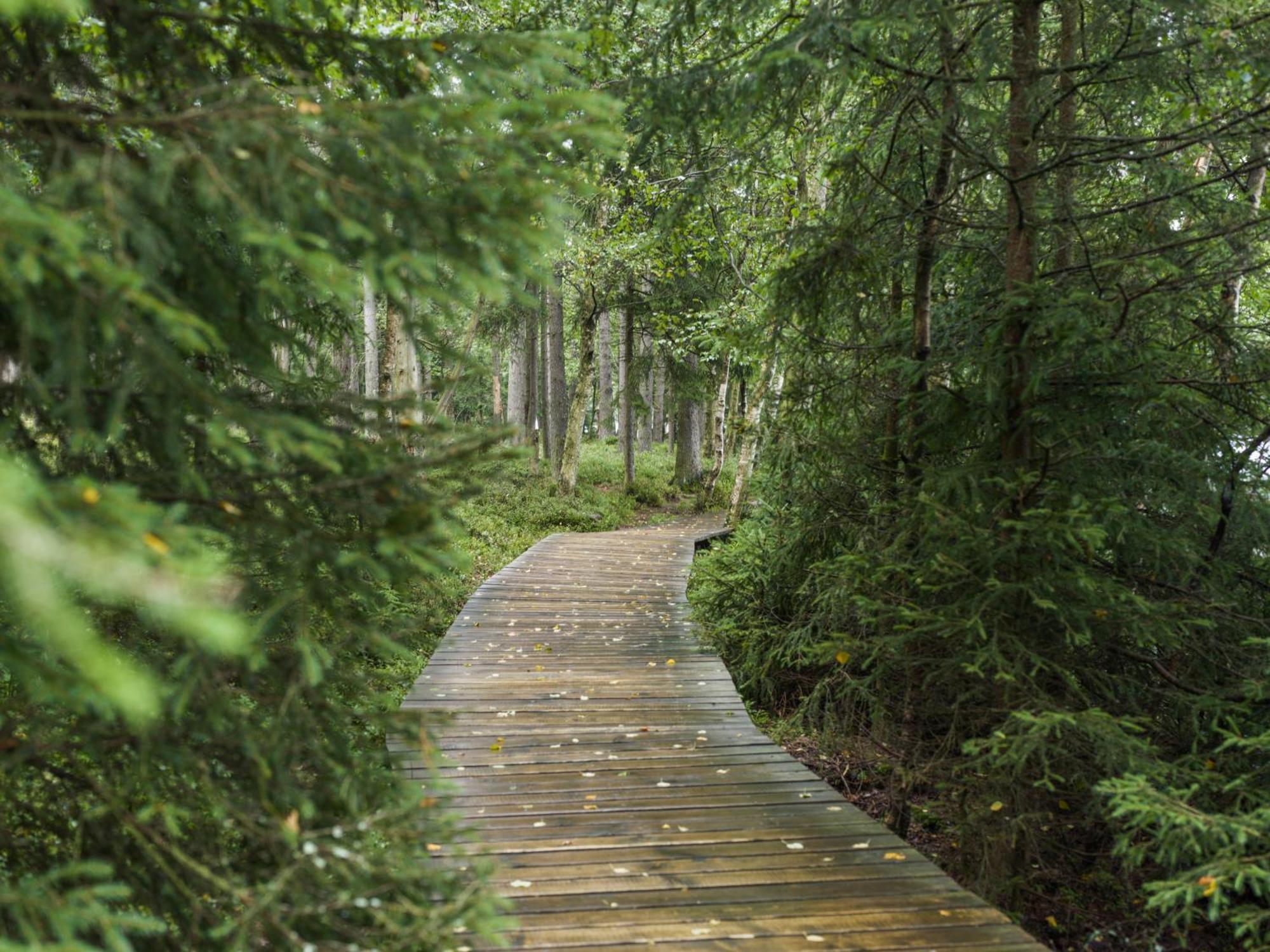 Falkensteiner Spa Resort Marianske Lazne Ngoại thất bức ảnh The boardwalk at the end of the trail